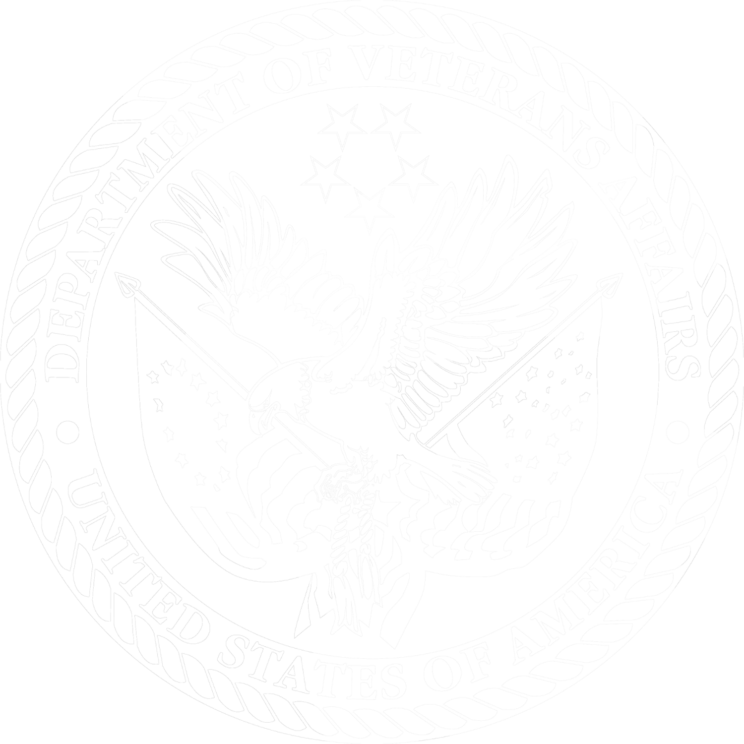 A faint outline of an emblem or seal, possibly related to the United States government or military, displayed with low contrast and a faded appearance